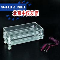 DYCP-36六一等电聚焦电泳槽DYCP-36
